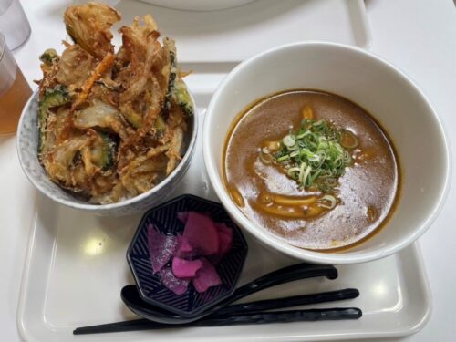 カレーうどんとミニ天丼