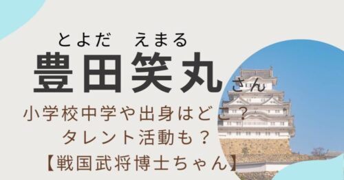 豊田笑丸アイキャッチ画像