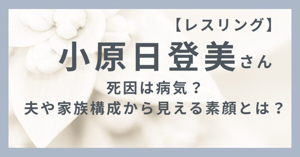小原日登美さんのアイキャッチ画像